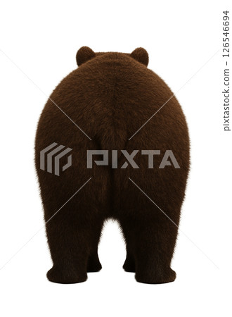 棕熊的背影 126546694