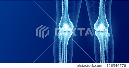 Cartilage bone knee joint side translucent low poly triangles on blue background. Human bone leg anatomy. Medical template with copy space for text. Skeleton x ray scan concept. Vector. Cartilage bone knee joint side translucent low poly triangles on blue background. Human bone leg anatomy. Medical template with copy space for text. Skeleton x ray scan concept. Vector. 126546776