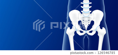 Hip bone and joint cartilage side on blue background with copy space for text. Human skeleton anatomy healthy. Medical health care science concept. Realistic 3D vector. Hip bone and joint cartilage side on blue background with copy space for text. Human skeleton anatomy healthy. Medical health care science concept. Realistic 3D vector. 126546785