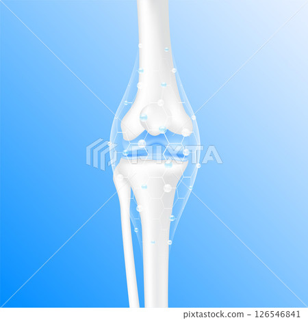 Collagen Vitamins and Calcium magnesium minerals line hexagon connecting surround care bone cartilage knee joint. Healthy human skeleton anatomy isolated on blue background. Realistic 3D vector. 126546841