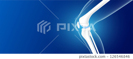 Leg bones and knee joint cartilage side on blue background with copy space for text. Human skeleton anatomy healthy. Medical health care science concept. Realistic 3D vector. 126546846
