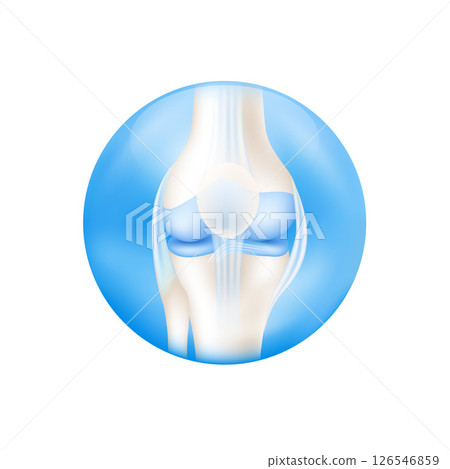 Leg bone knee cartilage human skeleton anatomy inside blue ball. Isolated on white background used for design product supplements. Medical concepts. 3D Vector. 126546859