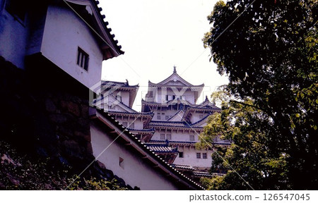 姬路城堡和藍天 姬路城堡和藍天 126547045