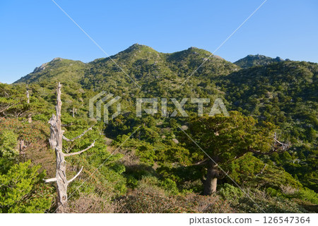 從屋久島尾花江川附近的觀景台眺望黑見山 126547364