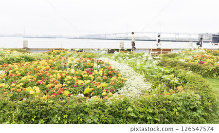 Spring at Yamashita Park 126547574