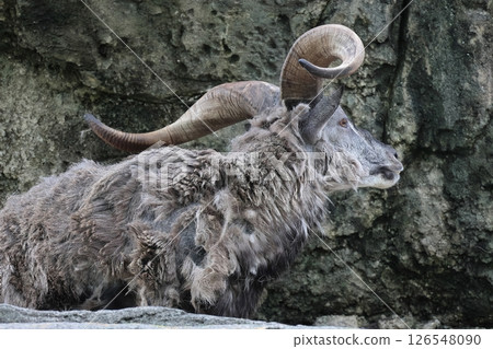 Sue Cho Varal Sue Cho Varal 126548090