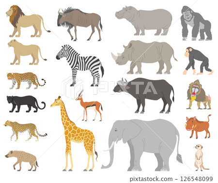 Set of African mammals Set of African mammals 126548099
