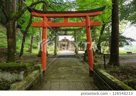 兵庫縣勝岡市有子山稻荷神社入口 126548213