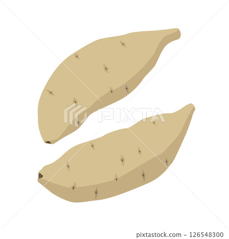 白甘藷插圖 126548300