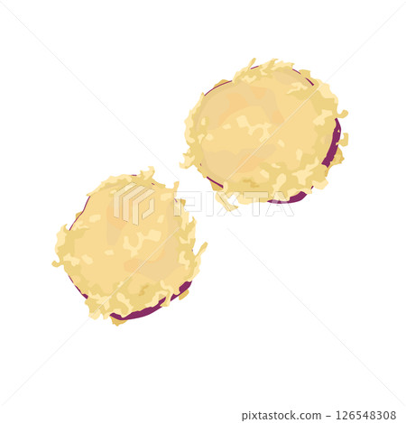 Sweet potato tempura illustration 126548308