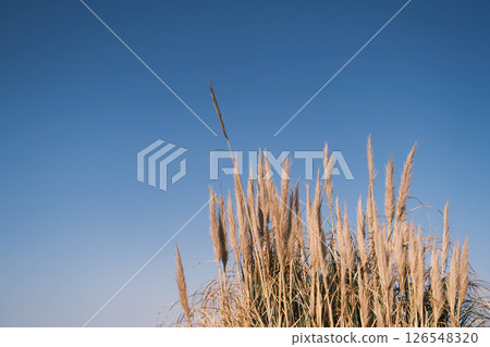 【阪南地區】黃昏的港口小鎮 126548320