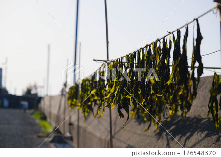 [Hannan Area] Sun-dried wakame seaweed 126548370