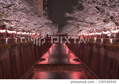 Cherry blossoms along Nakameguro River Cherry blossoms along Nakameguro River 126548440