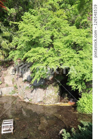 The pond at the entrance to Bokusui Falls (Hitsujiyama Park, Chichibu City, Saitama Prefecture) The pond at the entrance to Bokusui Falls (Hitsujiyama Park, Chichibu City, Saitama Prefecture) 126548519