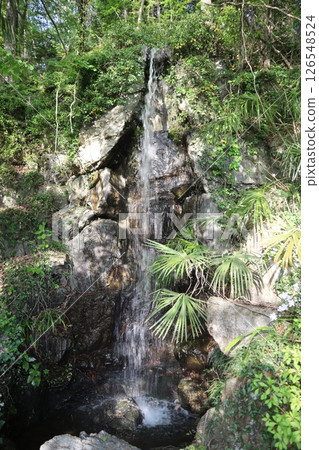 Bokusui Falls (Hitsujiyama Park, Chichibu City, Saitama Prefecture) Bokusui Falls (Hitsujiyama Park, Chichibu City, Saitama Prefecture) 126548524