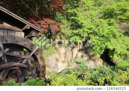 Waterwheel and pond at the entrance to Bokusui Falls (Hitsujiyama Park, Chichibu City, Saitama Prefecture) Waterwheel and pond at the entrance to Bokusui Falls (Hitsujiyama Park, Chichibu City, Saitama Prefecture) 126548525