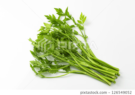 Japanese parsley_white background 126549052