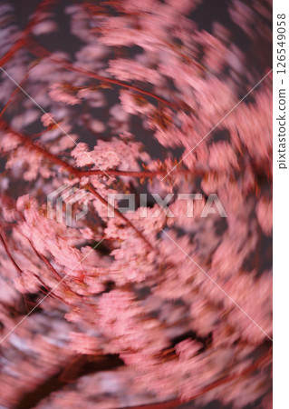 Cherry kaleidoscope Cherry kaleidoscope 126549058
