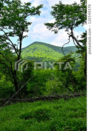View of the large rocks in summer from Mount Takasashi in the Tanzawa Mountains View of the large rocks in summer from Mount Takasashi in the Tanzawa Mountains 126549376