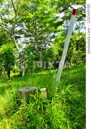 丹澤山脈高志山頂的三級三角測量點(中野村(6)) 丹澤山脈高志山頂的三級三角測量點(中野村(6)) 126549388