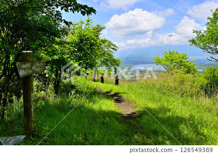 Mount Fuji as seen from the summit of Mount Takasashi in summer on the Koshu border ridge of the Tanzawa Mountains Mount Fuji as seen from the summit of Mount Takasashi in summer on the Koshu border ridge of the Tanzawa Mountains 126549389