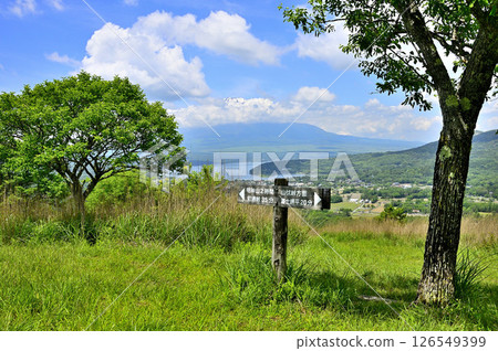 丹澤山脈甲州邊界山脊高差山頂的真弓樹和富士山 126549399