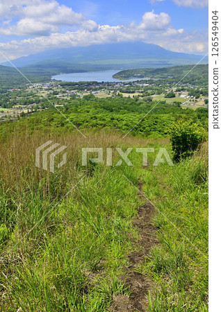 Summer in the Tanzawa Mountains: Mt. Fuji and Lake Yamanaka seen from the grasslands of Mt. Takasashi Summer in the Tanzawa Mountains: Mt. Fuji and Lake Yamanaka seen from the grasslands of Mt. Takasashi 126549404