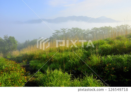 丹澤的鐵布基諾托（明神山）：清晨薄霧中倒映的道誌山脈 126549718