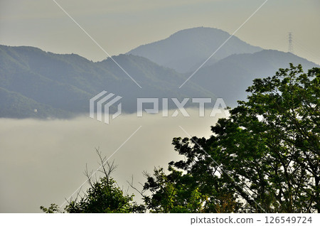 從丹澤的鐵布基諾托（明神山）望去，道誌山脈的五聖台山漂浮在雲海之中 126549724