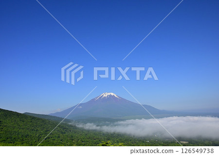 夏季從丹澤的 Teppokinoto (Myojinyama) 看到的富士山,複製空間 夏季從丹澤的 Teppokinoto (Myojinyama) 看到的富士山,複製空間 126549738