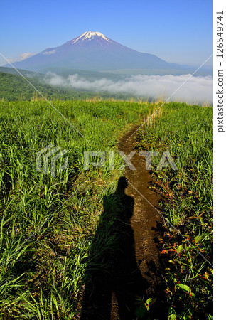 丹澤的鐵板山(明神山)上長滿夏草的山路和富士山 丹澤的鐵板山(明神山)上長滿夏草的山路和富士山 126549741