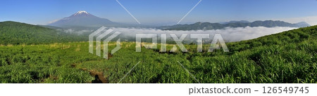 Panorama of Mt. Fuji and the Doshi mountain range from Mt. Myojin in Tanzawa 126549745