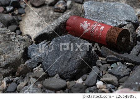 Dumped shotgun shells 126549853