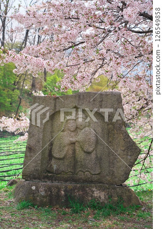 信州安曇野的春天:大王芥末農場的櫻花和地藏菩薩像 信州安曇野的春天:大王芥末農場的櫻花和地藏菩薩像 126549858