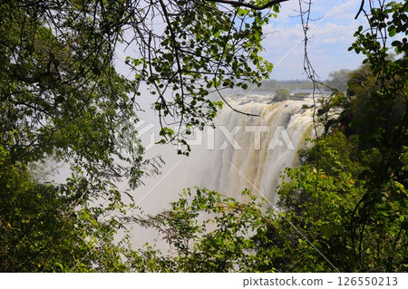 從贊比亞一側看到的維多利亞瀑布 126550213