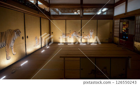 Tiger painting on sliding doors, Kurodani Komyoji temple, Kyoto 126550243