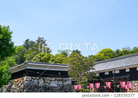 Kochi Castle (famous castle of 240,000 koku) Kochi Castle (famous castle of 240,000 koku) 126550377