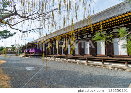 京都三十三間堂 126550391