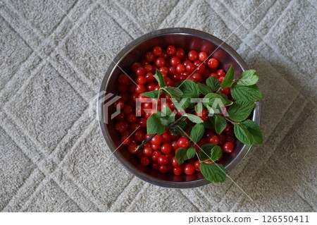 Wild cherry plum (Prunus tomentosa) harvest 2025.05 126550411