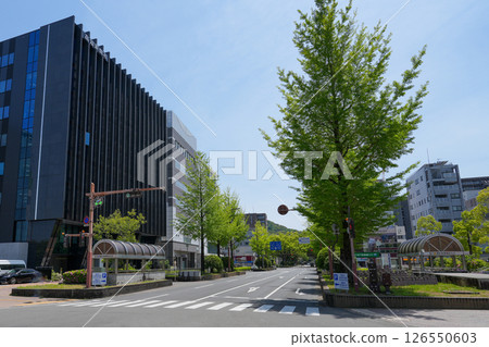 Kochi City government district (Prefectural office, City Hall, Kochi Shimbun) 126550603