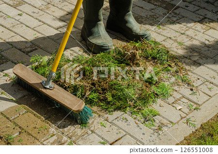 Gardener is sweeping grass clippings from stone pathway under bright sunlight. High quality photo 126551008