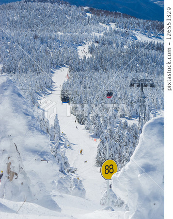 冰雪原上的路線和途經其上的纜車（山形縣藏王溫泉滑雪場冰雪原路線） 126551329