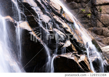 Ao-taki waterfall at the source of the Mitaki River in Yunoyama Onsen during the season of fresh greenery Ao-taki waterfall at the source of the Mitaki River in Yunoyama Onsen during the season of fresh greenery 126551384