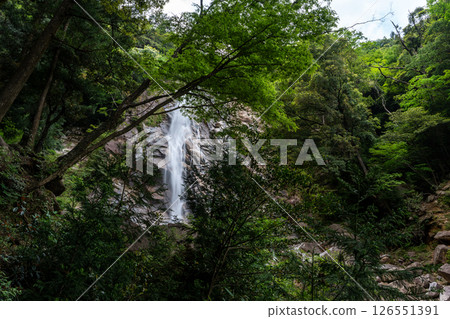 Ao-taki waterfall at the source of the Mitaki River in Yunoyama Onsen during the season of fresh greenery Ao-taki waterfall at the source of the Mitaki River in Yunoyama Onsen during the season of fresh greenery 126551391