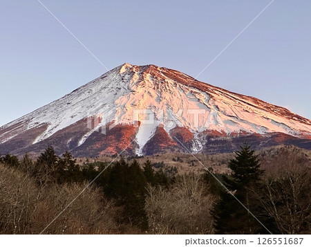 富士山染上清晨的色彩 富士山染上清晨的色彩 126551687