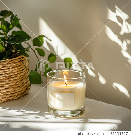 A lit candle sits next to a planter with green leaves. A lit candle sits next to a planter with green leaves. 126551717