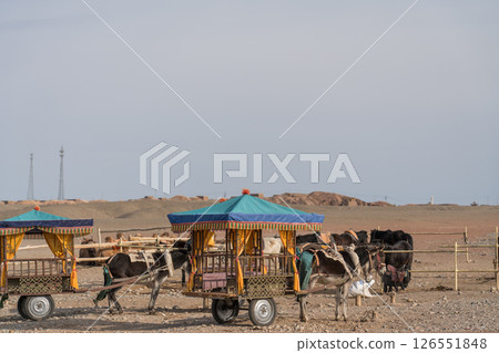 Around Yangguan Around Yangguan 126551848