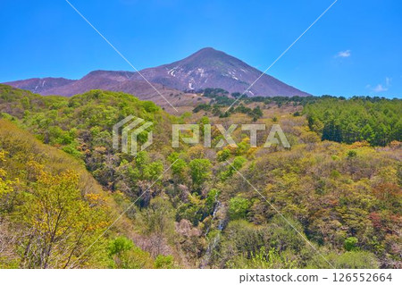 View of the east side from the Gold Line (Nametaki Observatory) of Mt. Bandai in Bandai Town, Fukushima Prefecture (west side of Mt. Bandai, Nametaki waterfall, new greenery, etc.) 126552664