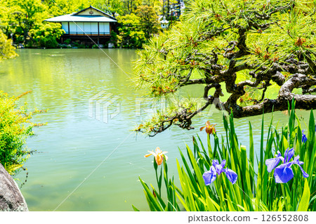 Scenery of Sorakuen in early summer: Teahouse Kanshintei seen across the pond 1, Chuo Ward, Kobe City, Hyogo Prefecture 126552808