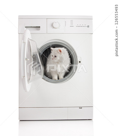 Washing machine and white cat... Washing machine and white cat... 126553493
